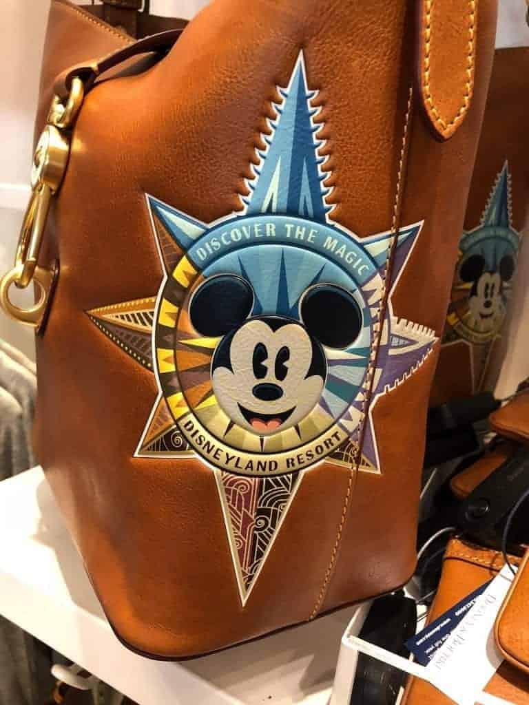 Disneyland Passport Leather