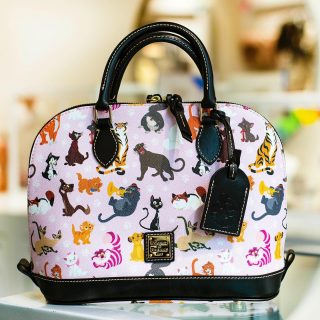 disney annual passholder dooney and bourke