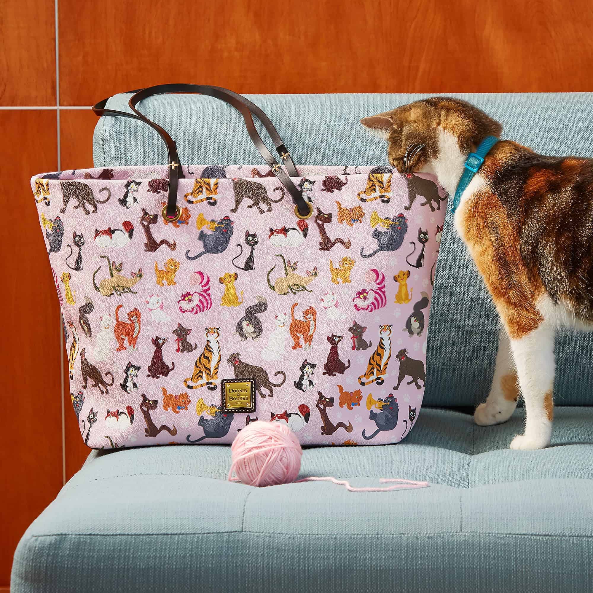 dooney and bourke cats