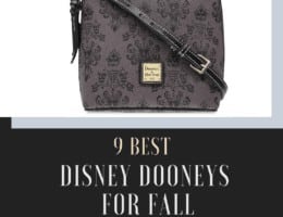9 Best Fall Disney Dooneys