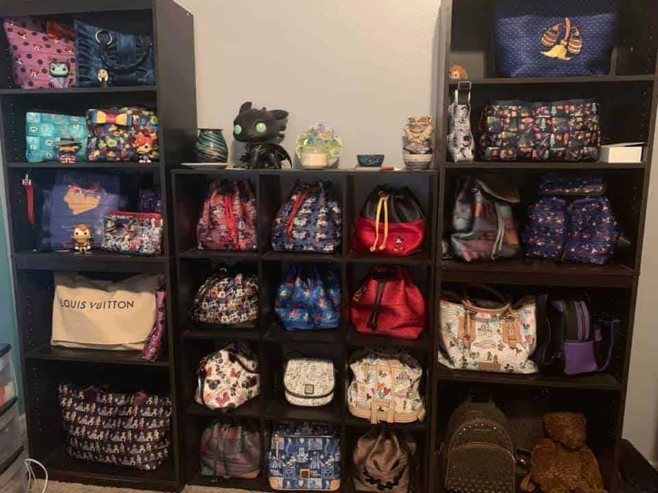 Disney Handbags in a Cube Bookshelf - Photo by Stephanie Noel Amato