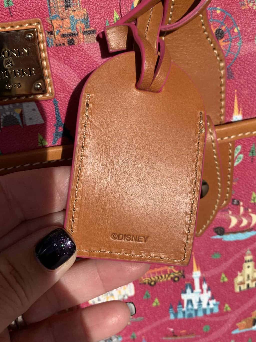 disney annual passholder dooney and bourke