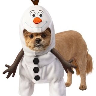 frozen olaf dog costume