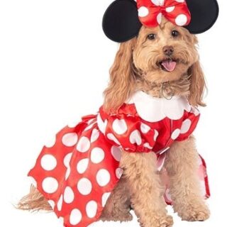 minnie mouse dog costume