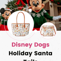 Disney Dogs Holiday Santa Tails