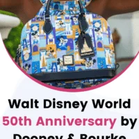 walt-disney-world-50th-anniversary-by-dooney-and-bourke-cover-image