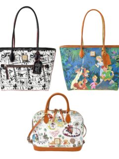 upcoming disney dooney and bourke 2022
