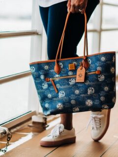 dooney & bourke carteras