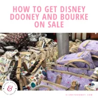 How to get Disney Dooney and Bourke on Sale