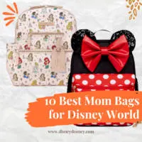 10 Best Mom Bags and Backpacks For Disney World