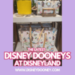 The Latest Disney Dooney and Bourkes at Disneyland - May 2025