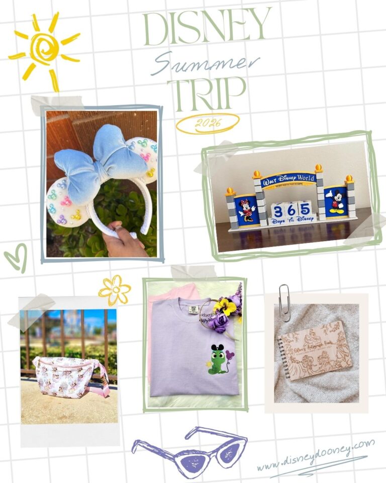 Disney Summer Guide Etsy 2026